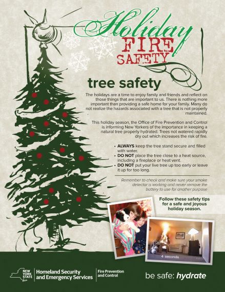Tree Safety Flyer