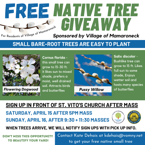 Free Native Tree Giveaway SMALL PNG
