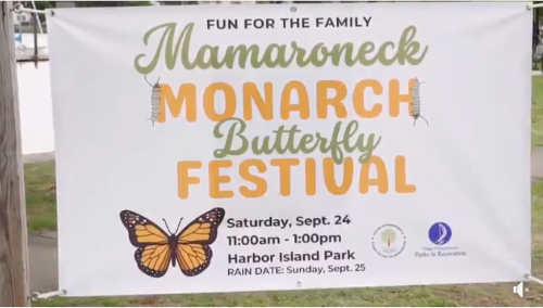 LMC Screenshot Mamaroneck Monarch Butterfly Festival 2022-09-24 PNG
