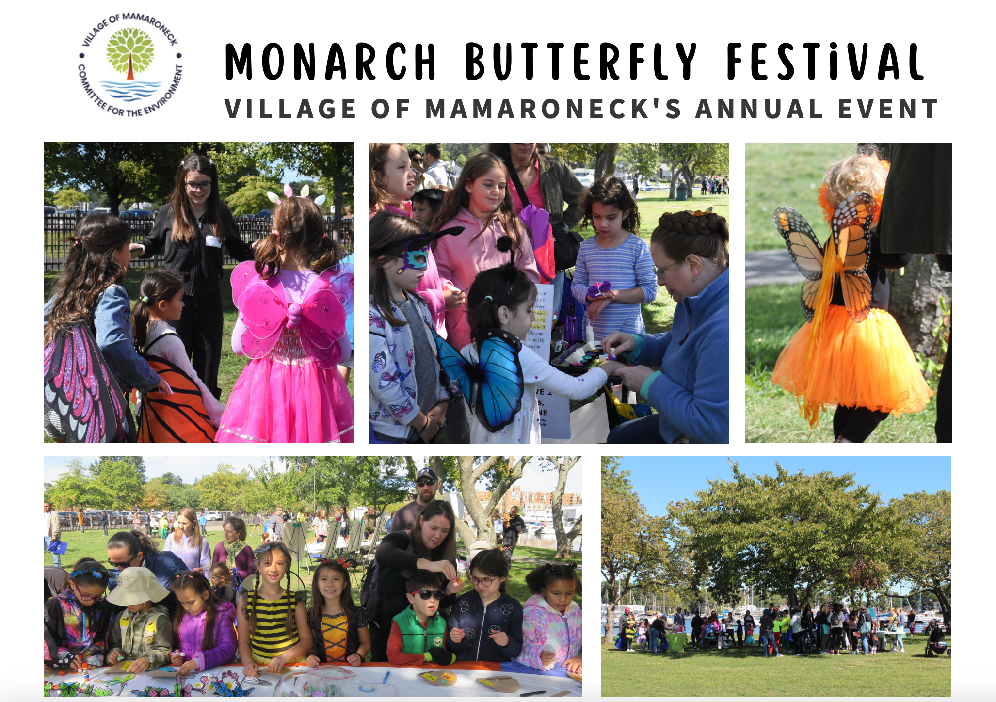 Monarch Butterfly Festival PNG