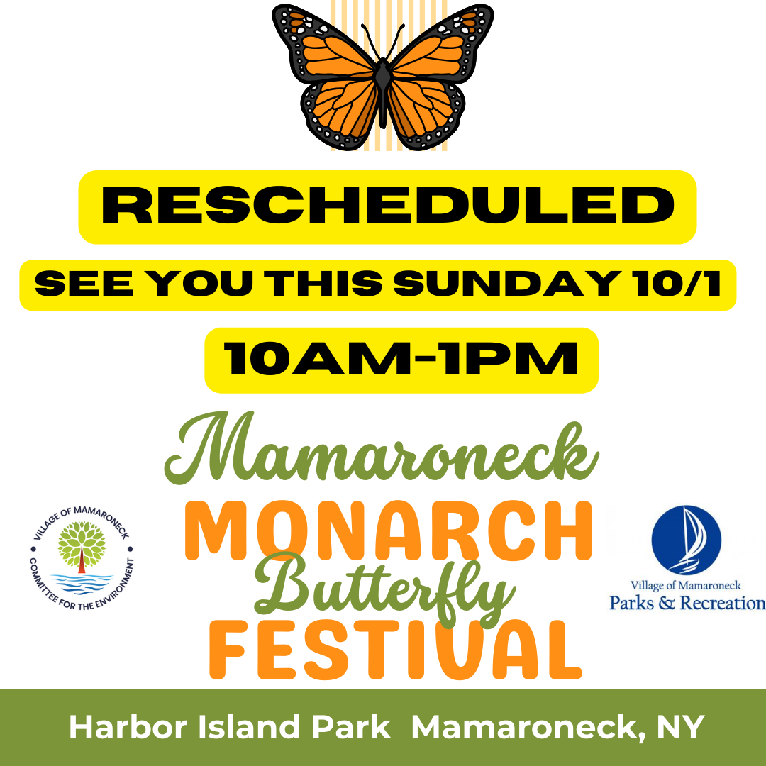 Mamaroneck Monarch Butterfly Festival