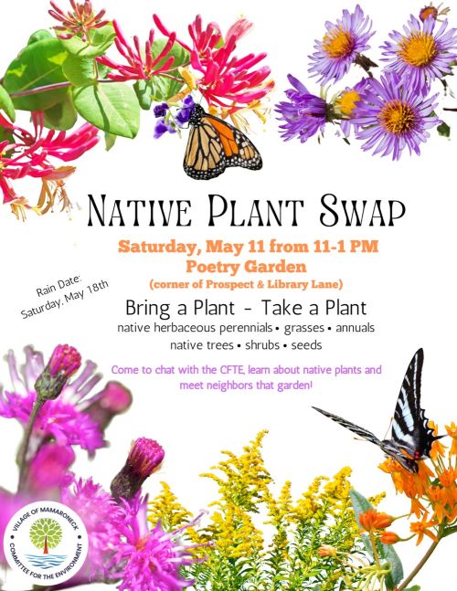Native Plant Swap SMALL JPG