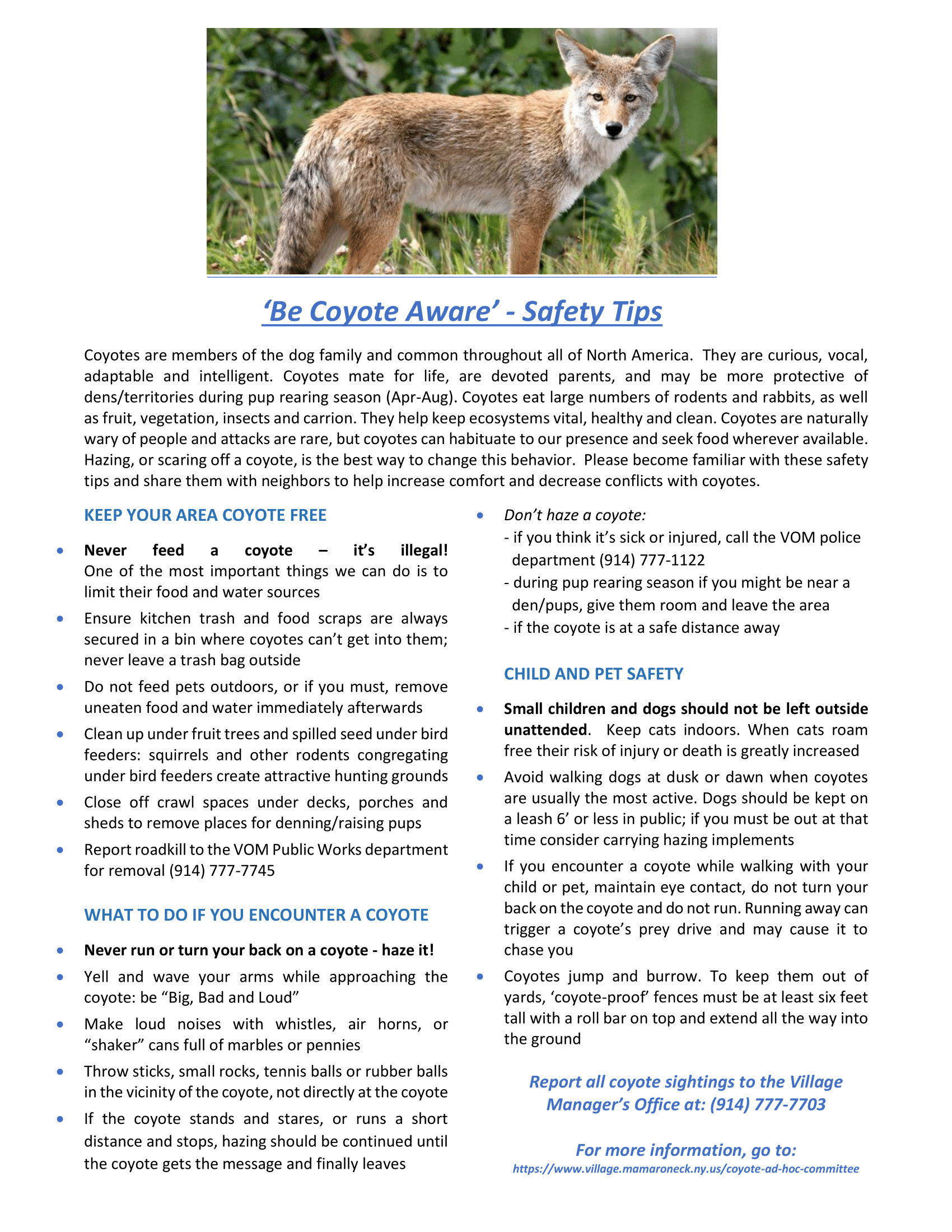 Coyote Awareness Flyer