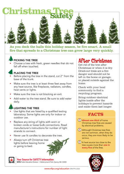 Christmas Tree Safety SMALL PNG