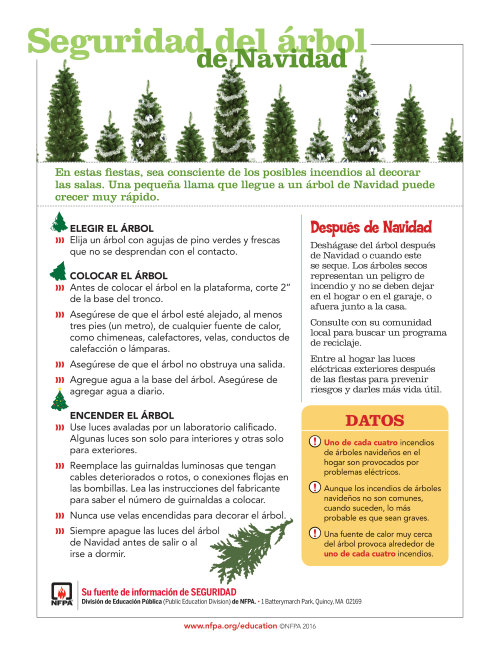 ChristmasTreeSafety SPANISH SMALL PNG