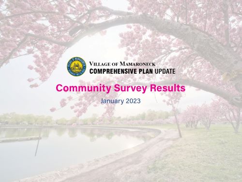 Community Survey Results SMALL PNG
