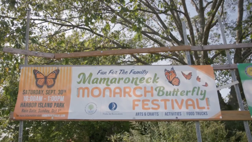 LMC Media Screenshot Monarch Butterfly Festival 2023-10-01 PNG