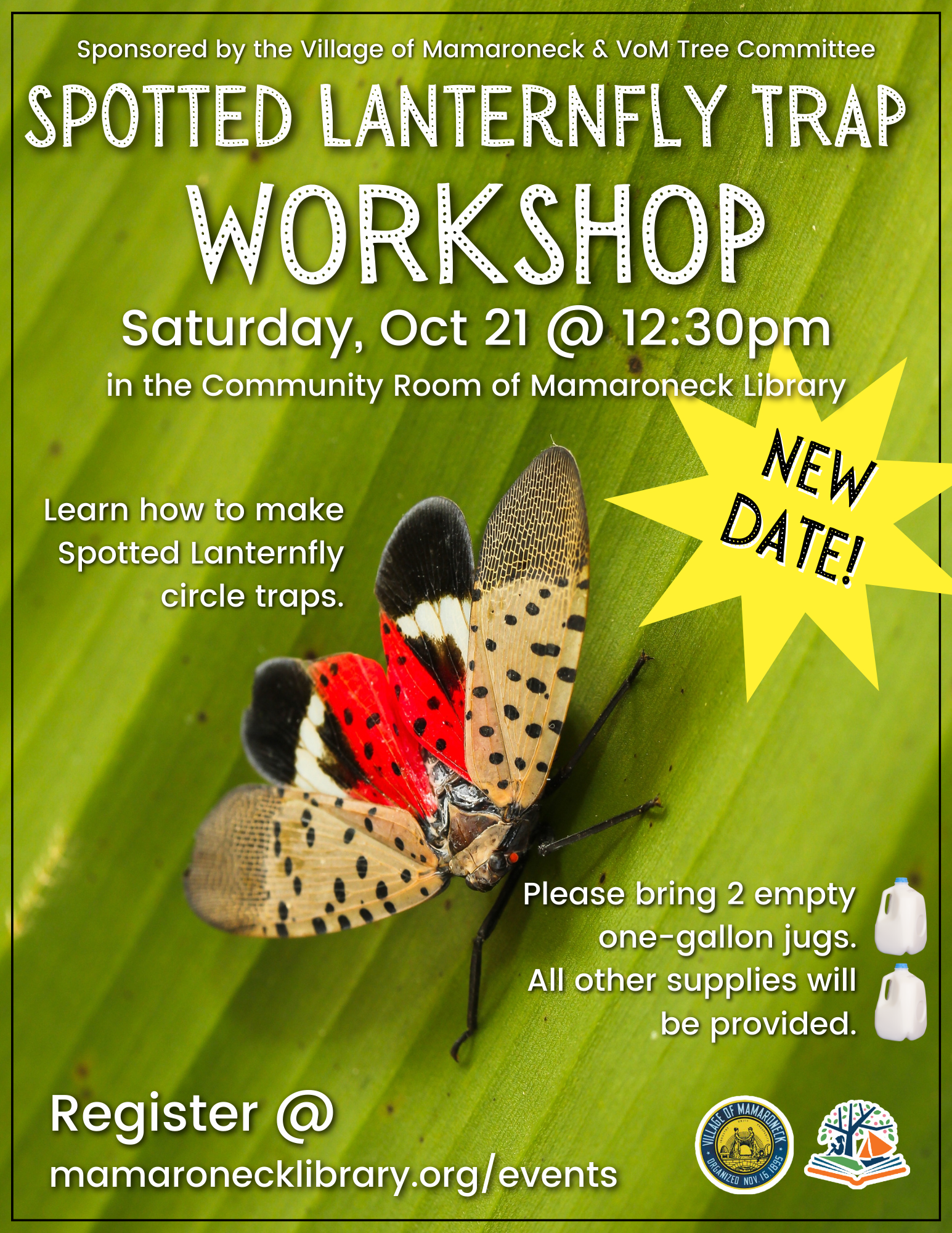 Mamaroneck Library Spotted Lanternfly Trap Workshop PNG