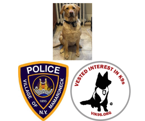 Police Department K-9 IKE to Receive Donation of Body Armor PNG