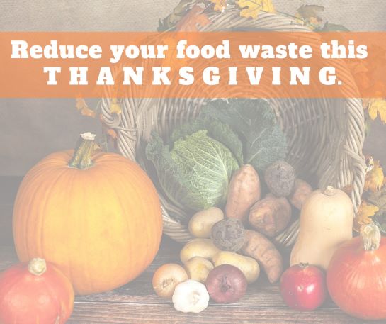 Reduce Your Thanksgiving Food Waste