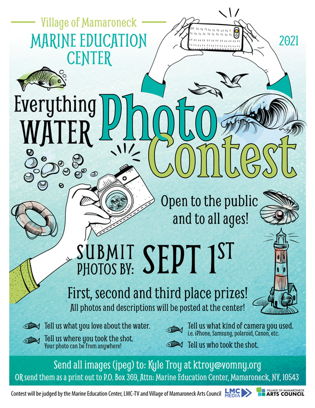 Marine Education Center Everything Water Photo Contest Flyer
