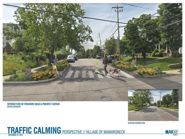 Fenimore Road and Prospect Avenue Pedestrian Safety Initiative Project