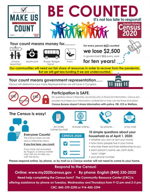 Census Flyer with Logo in English