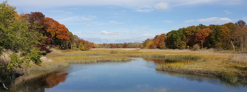 Otter Creek is a marshland located in the Village of Mamaroneck