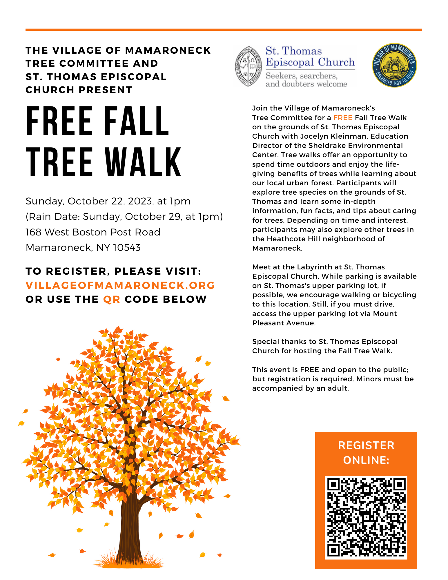 Fall Tree Walk PNG