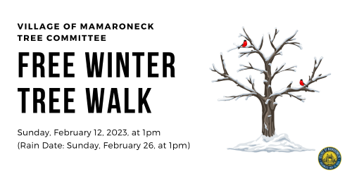 Free Winter Tree Walk SMALL PNG