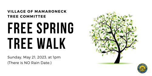 Spring Tree Walk Flyer SMALL PNG