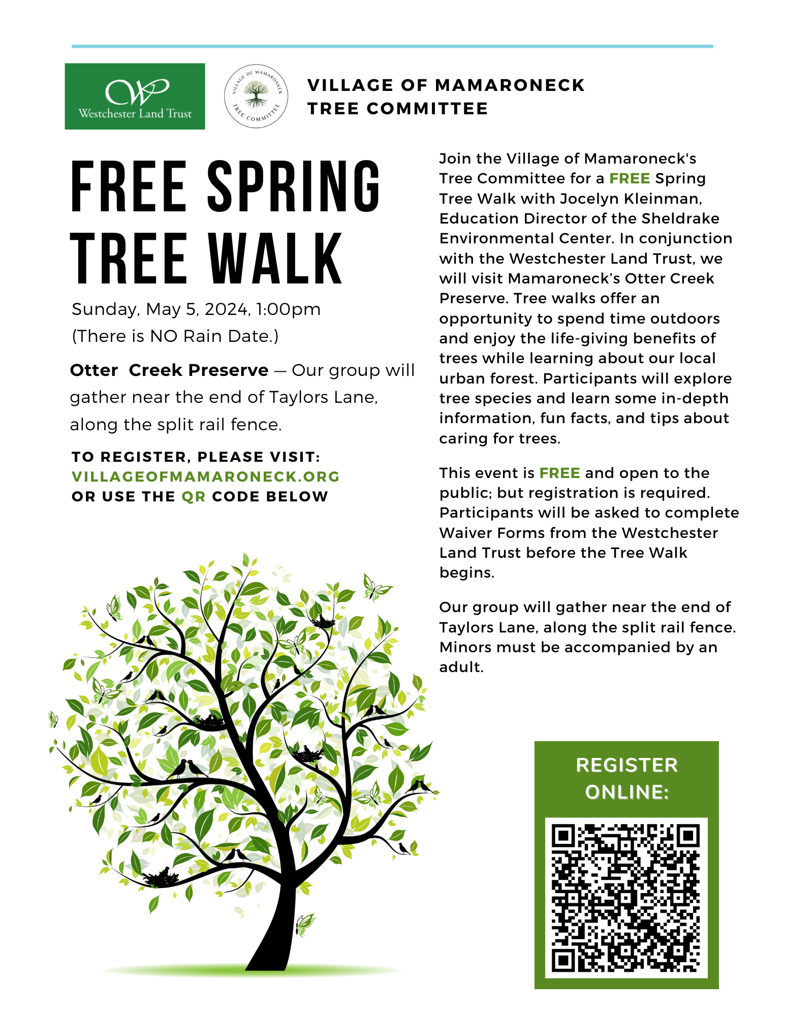 Spring Tree Walk Flyer PNG